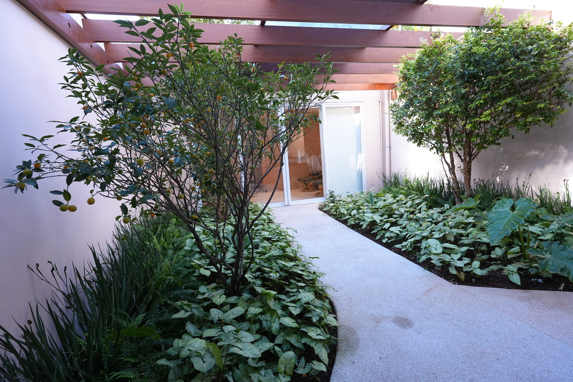 Jardim