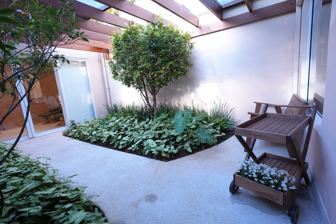 Jardim